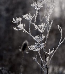 10 10-Feb-13 09-24-17 D300 056